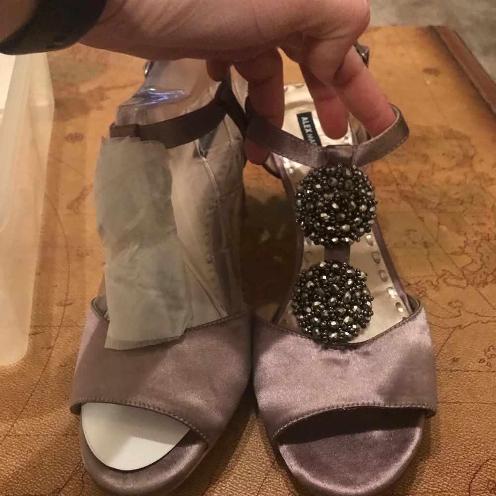 Metallic Leather Alex Marie Shoes-Size9.5. (NWOT)